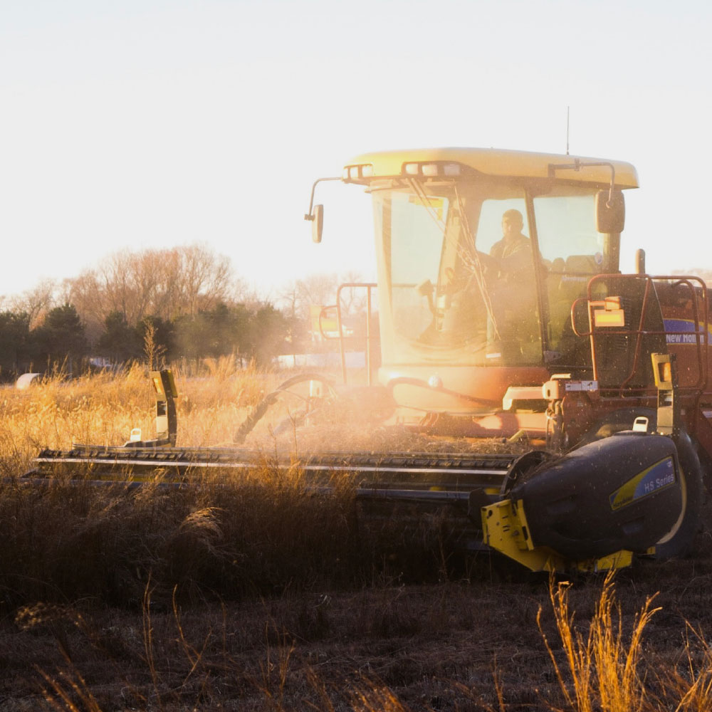 HTB-Specialist-Business-Finance-1000×1000-7